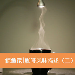 04 咖啡风味的描述(二)