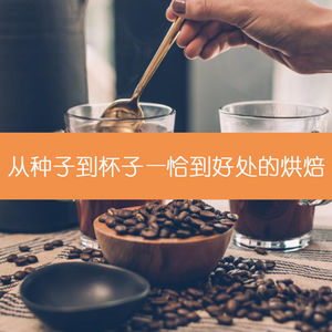 13 从种子到杯子—恰到好处的烘焙