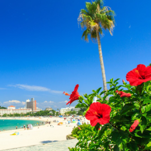 Feel Asia '07 | 海边午后