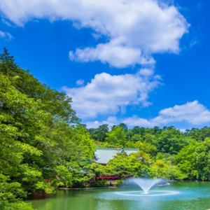 Feel Asia | 漫步井之头公园