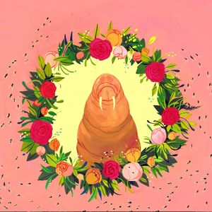 Maggies: The Healing Power of Baby Flies