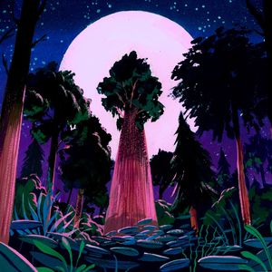 The Travelers: How Moon Trees Hide Among Us