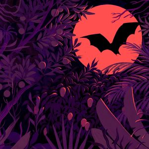 The Night Flyer: How Bats sPOOkily Revive Forests