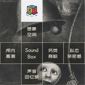 Box.017 Special Froms 声学特色杂货铺