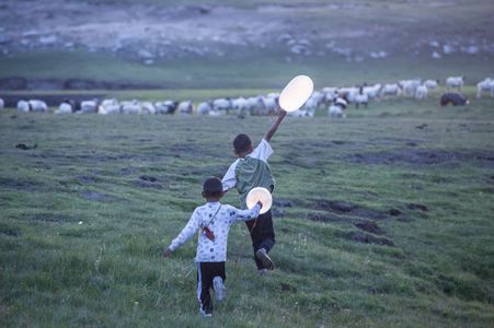 《气球》，各花入各眼的万玛才旦（嘉宾：西帕克）