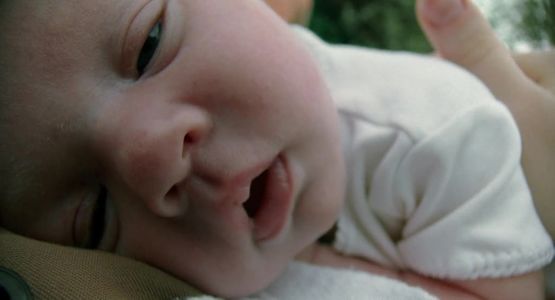 重看经典-《生命之树》：马力克的生命哲学