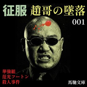 喋血衡州：详解《征服》与石家庄往事 01