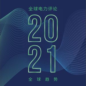 Vol 22 . 电力行业最新回顾：全球主要经济体2020横向比较结果出炉