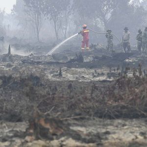 Vol 32 . 气候与健康：印尼大火，能“烧”到何处？