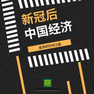 Vol 03 . “新冠后”中国经济复苏的坎坷之路