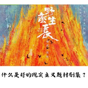 EP052 《风吹半夏》：没有突破大女主套路的半部好剧