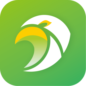 EP06【行业】揭秘传音移动互联业务 - 非洲『今日头条』Scooper