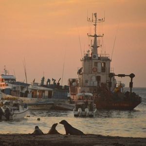 vol.15 拿着相亲的号码牌，等爱拐几个弯就来