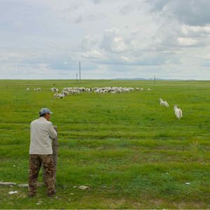 118.乌兰布统，草原追星
