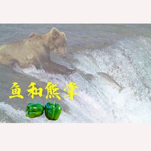 【做事侠01】高校“青椒”的教学与科研:鱼和熊掌不可得兼?