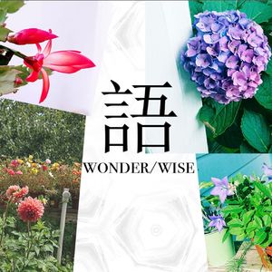 【做事侠03】在美留学胡博士,用主体性超越单向度