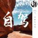 内蒙古自驾 | 生声不息71