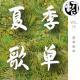 夏季歌单 | 生声不息75