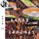 五月天阿信鸟巢赐名的WMLS来了 | 生声不息255