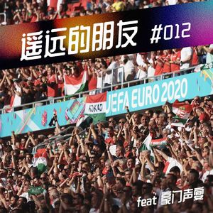 遥远的朋友-35- 与《体坛周报》总编骆明聊聊欧洲杯