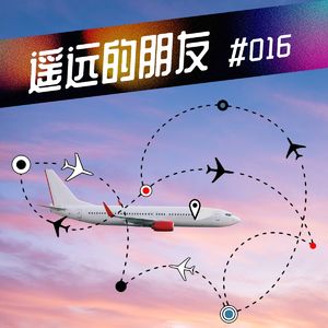 遥远的朋友-39- 机票我们还能随心飞吗?