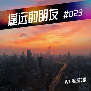 遥远的朋友-46- 双十一酒店旅行产品有猫儿腻?