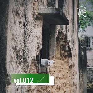新桃换旧符 E12：入住房子，你不可不知
