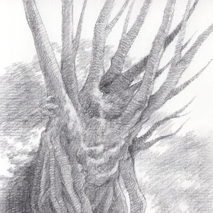 托尔金的语言与文学(一):被主流放逐的时代逆行者