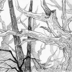 托尔金的语言与文学（六）：童话的功能之一“幻想”