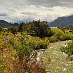 《魔戒》出版过程中托尔金被迫舍弃的心愿们