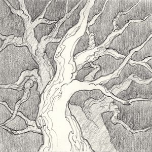 原著、电影连连看（九）：黑森林的前世今生（二）