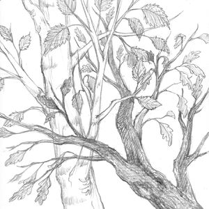 托尔金的语言与文学（二）：学术派别角力的失败者