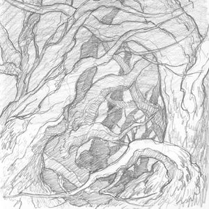 原著、电影连连看（八）：黑森林的前世今生（一）