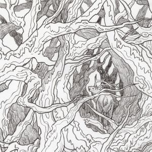 托尔金的语言与文学（八）：托尔金诗歌与森林意象