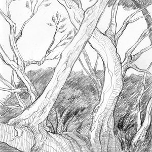 明白了“善灾”，也就明白了托尔金（上）