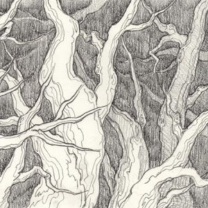 原著、电影连连看（十）：黑森林的前世今生（三）