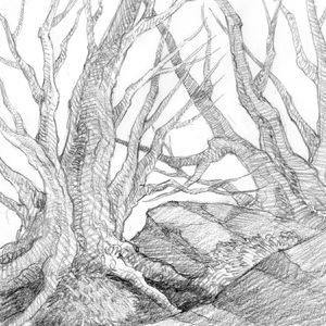 插画里的中洲和漫游中洲的插画师们