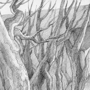 原著、电影连连看(三)