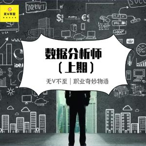 V19 风口上的数据分析师