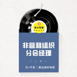 V15 非营利组织靠啥“盈利”？