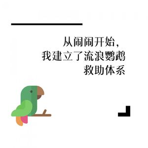 【河对岸048】从闹闹开始，我建立了流浪鹦鹉救助体系
