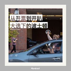 【河对岸003】从开票到开趴 大选下的波士顿