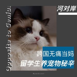 【河对岸008】跨国无痛当妈 留学生养宠物秘辛