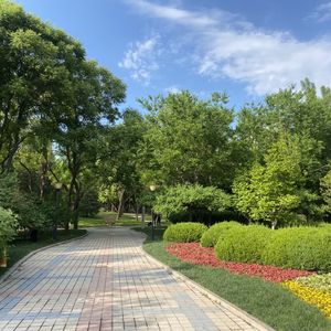 当面对「隔离」时，我们能做什么？