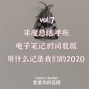 vol.7 年度总结、手账、电子笔记、时间数据，用什么记录我们的2020