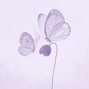 第87期：通关秘籍：轻盈感源于认清自己的角色本分