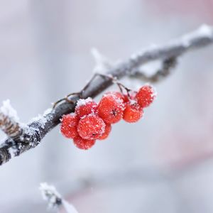 第64期：管教就是归序