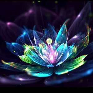 第86期:我的内求之路