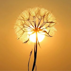 No.105：找到自我成长的持续源动力