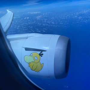 049 - 鸡肉饭还是牛肉面